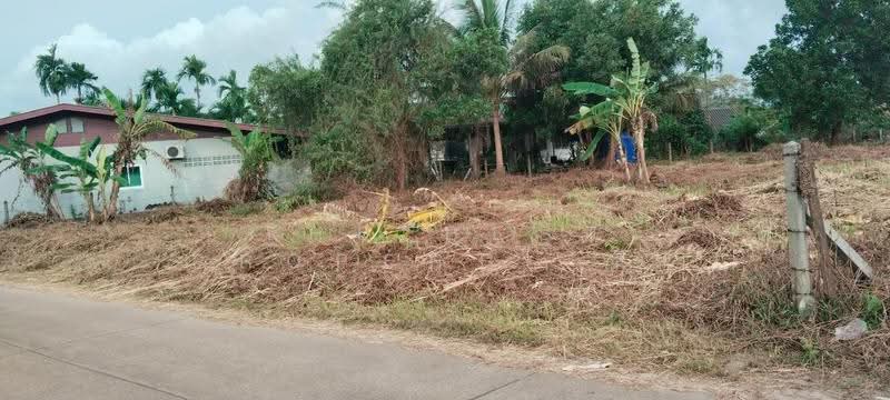 ที่ดินเกาะขวาง จันทบุรี, Chanthaburi, Ko Khwang, Muang Chanthaburi, Chanthaburi, , 1,336 sqm, Land For Sale, by The Best Property รัก, 500547742 - DDproperty.com