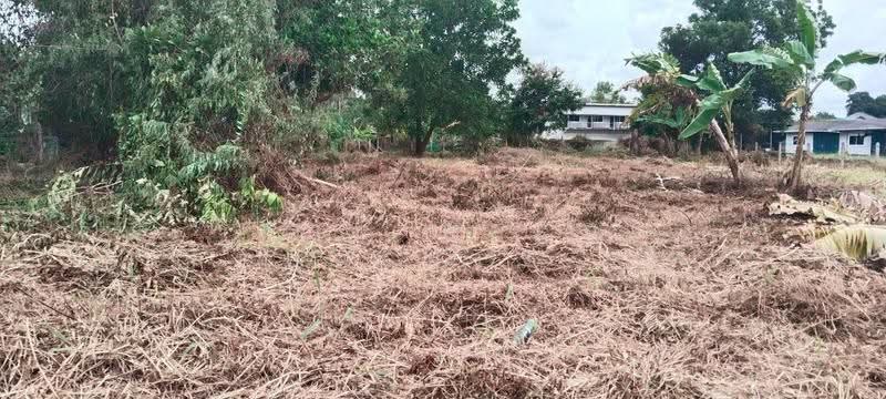 ที่ดินเกาะขวาง จันทบุรี, Chanthaburi, Ko Khwang, Muang Chanthaburi, Chanthaburi, , 1,336 sqm, Land For Sale, by The Best Property รัก, 500547742 - DDproperty.com