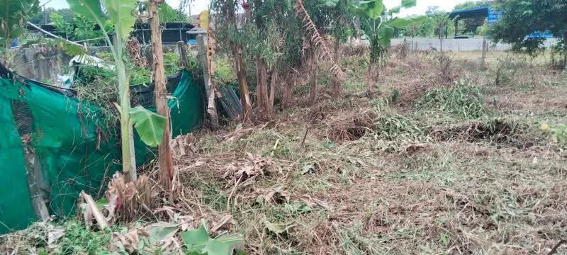 ที่ดินเกาะขวาง จันทบุรี, Chanthaburi, Ko Khwang, Muang Chanthaburi, Chanthaburi, , 1,336 sqm, Land For Sale, by The Best Property รัก, 500547742 - DDproperty.com