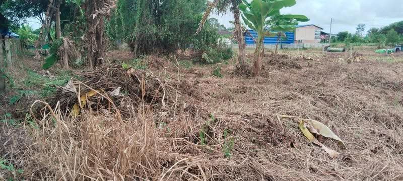 ที่ดินเกาะขวาง จันทบุรี, Chanthaburi, Ko Khwang, Muang Chanthaburi, Chanthaburi, , 1,336 sqm, Land For Sale, by The Best Property รัก, 500547742 - DDproperty.com