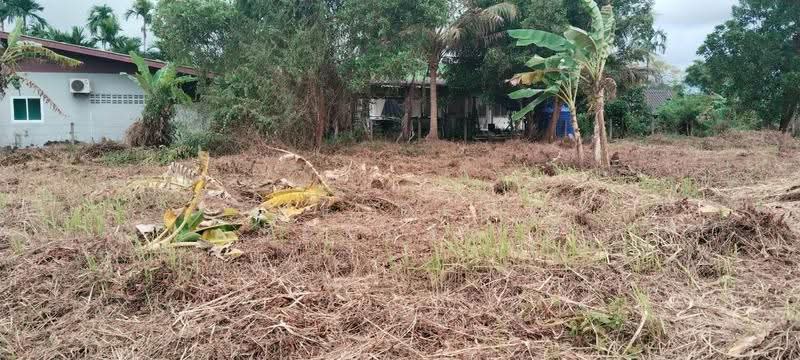 ที่ดินเกาะขวาง จันทบุรี, Chanthaburi, Ko Khwang, Muang Chanthaburi, Chanthaburi, , 1,336 sqm, Land For Sale, by The Best Property รัก, 500547742 - DDproperty.com