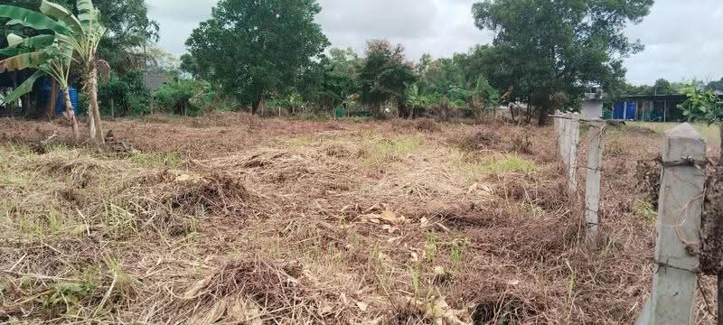 ที่ดินเกาะขวาง จันทบุรี, Chanthaburi, Ko Khwang, Muang Chanthaburi, Chanthaburi, , 1,336 sqm, Land For Sale, by The Best Property รัก, 500547742 - DDproperty.com
