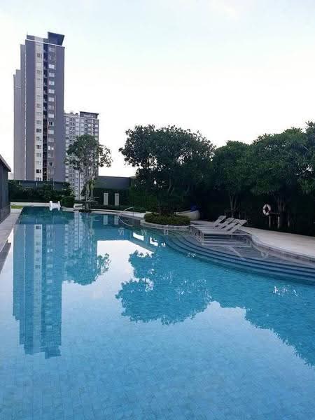 The Line Wongsawang, Bangkok, 1333 Bangkok - Nonthaburi Rd., Wong Sawang, Bang Sue, Bangkok, 1 Bedroom, 33 sqm, Condo For Rent, by ทิพย์, 500547754 - DDproperty.com