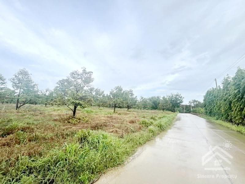 ที่ดินสวนทุเรียน จันทบุรี, จันทบุรี, ฉมัน, มะขาม, จันทบุรี, 8,660 ตร.ม., กิจการ ขาย, โดย ปูน, 500547927 - DDproperty.com