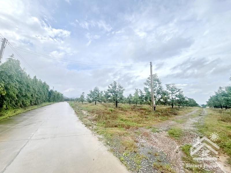 ที่ดินสวนทุเรียน จันทบุรี, จันทบุรี, ฉมัน, มะขาม, จันทบุรี, 8,660 ตร.ม., กิจการ ขาย, โดย ปูน, 500547927 - DDproperty.com