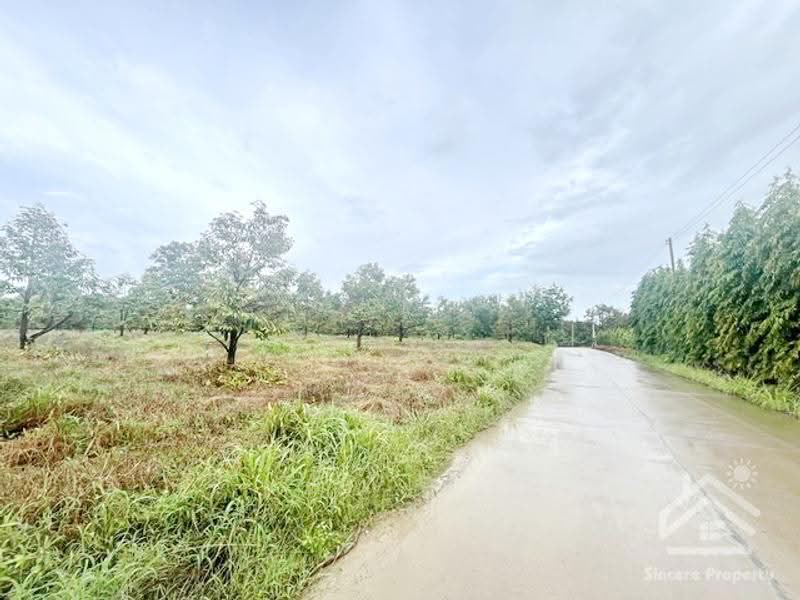 ที่ดินสวนทุเรียน จันทบุรี, จันทบุรี, ฉมัน, มะขาม, จันทบุรี, 8,660 ตร.ม., กิจการ ขาย, โดย ปูน, 500547927 - DDproperty.com