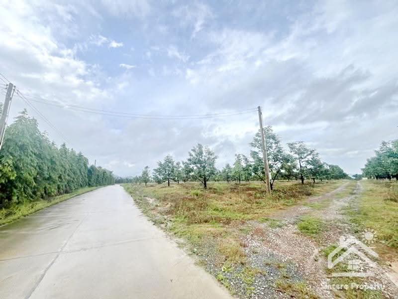 ที่ดินสวนทุเรียน จันทบุรี, จันทบุรี, ฉมัน, มะขาม, จันทบุรี, 8,660 ตร.ม., กิจการ ขาย, โดย ปูน, 500547927 - DDproperty.com