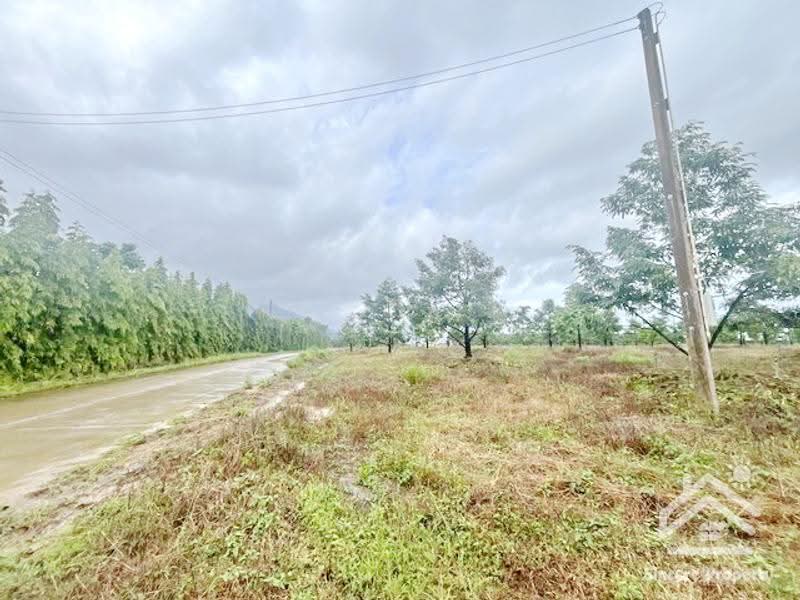 ที่ดินสวนทุเรียน จันทบุรี, จันทบุรี, ฉมัน, มะขาม, จันทบุรี, 8,660 ตร.ม., กิจการ ขาย, โดย ปูน, 500547927 - DDproperty.com
