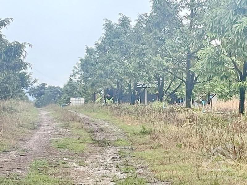 ที่ดินสวนทุเรียน จันทบุรี, chanthaburi, Chanan, Makham, Chanthaburi, , 8,660 sqm, Business For Sale, by ปูน, 500547927 - DDproperty.com