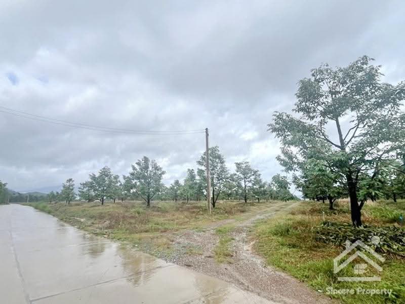 ที่ดินสวนทุเรียน จันทบุรี, จันทบุรี, ฉมัน, มะขาม, จันทบุรี, 8,660 ตร.ม., กิจการ ขาย, โดย ปูน, 500547927 - DDproperty.com