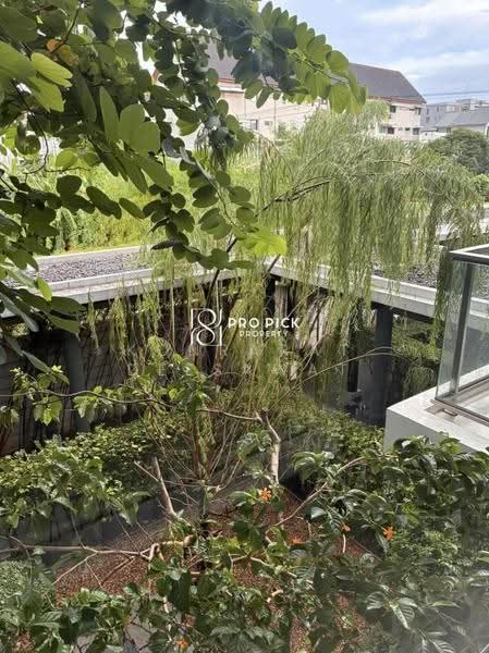 For Rent Condo D-50 private 1 Bed 1 Bath BTS Onnut Phra Khanong Bangkok PP-00674, Bangkok, Bang Chak, Phra Khanong, Bangkok, 1 Bedroom, 45 sqm, Villa For Rent, by Konrarat Deesawat, 500547942 - DDproperty.com
