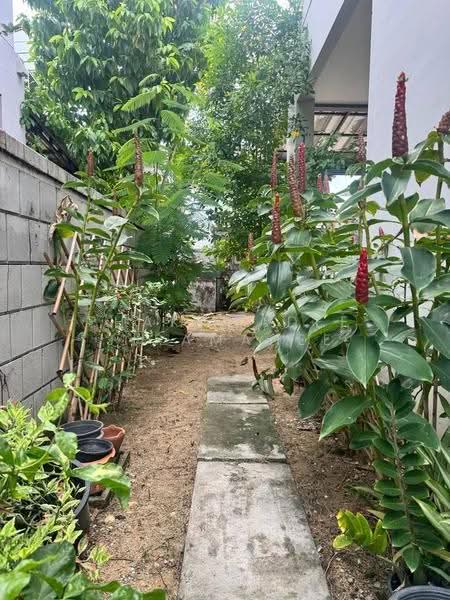 undefined, กรุงเทพ, หนองค้างพลู, หนองแขม, กรุงเทพ, 150 ตร.ม., บ้านเดี่ยว ขาย, โดย Phakawadee Jiramanee, 500547958 - DDproperty.com