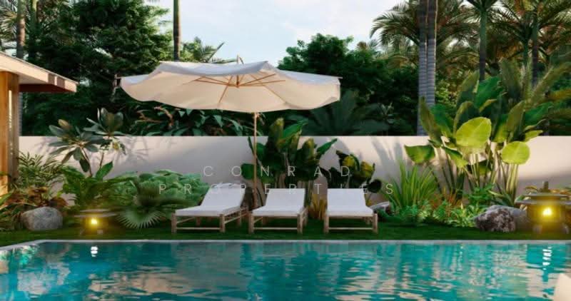 Tropical 4-Bedroom Single-Level Pool Villa in Lamai, Surat Thani, Maret, Ko Samui, Surat Thani, 4 Bedrooms, 510 sqm, Villa For Sale, by Conrad Properties, 500548016 - DDproperty.com