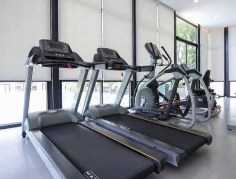 Kensington Phaholyothin 63, Bangkok, Soi Phaholyothin 63, Phaholyothin Road, Anusaowari, Bang Khen, Bangkok, 1 Bedroom, 30 sqm, Condo For Sale, by Phakawadee Jiramanee, 500548040 - DDproperty.com