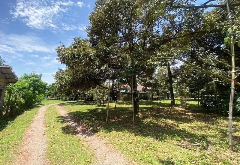 บ้านเดี่ยวนายายอาม จันทบุรี, Chanthaburi, Wang Tanot, Na Yai Am, Chanthaburi, 4 Bedrooms, 100 sqm, Single Detached House For Sale, by The Best Property ออฟ, 500548208 - DDproperty.com