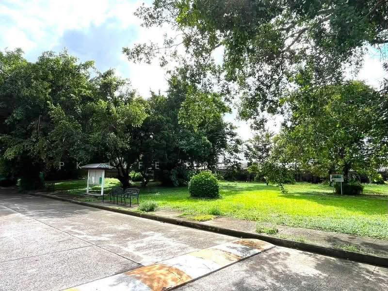 5R0830 This house for rent 3 bedroom 2 bathroom 35,000/month at kathu have fully furnished, ภูเก็ต, กะทู้, ภูเก็ต, 120 ตร.ม., บ้านเดี่ยว ให้เช่า, โดย PK LIFE Property, 500548314 - DDproperty.com