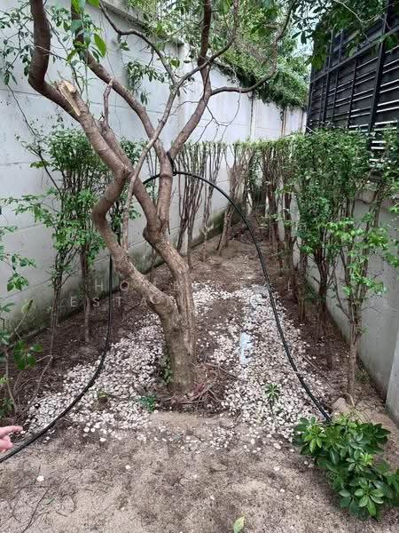 Life Bangkok Boulevard Ratchaphruek-Rattanatibet, Nonthaburi, 11 Ratchapruek Rd., Bang Phlap, Pak Kret, Nonthaburi, 3 Bedrooms, 165 sqm, Single Detached House For Sale, by HOME Real Estate Service, 500548428 - DDproperty.com