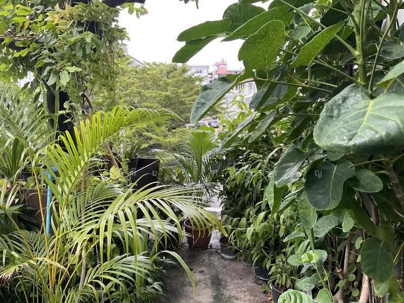Home Office, Bangkok, ศรีวรา, Phlapphla, Wang Thonglang, Bangkok, , 1,600 sqm, Office Space For Sale, by ปรัศนียา ศรีเจริญ, 500548437 - DDproperty.com