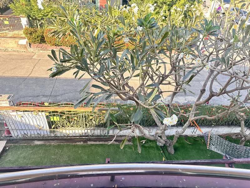 Supalai Ville Wongwaen–Rattanathibet : ศุภาลัย วิลล์ วงแหวน–รัตนาธิเบศร์, นนทบุรี, ถนนจันทร์ทองเอี่ยม, บางแม่นาง, บางใหญ่, นนทบุรี, 180 ตร.ม., บ้านเดี่ยว ขาย, โดย HOME Real Estate Service, 500548449 - DDproperty.com