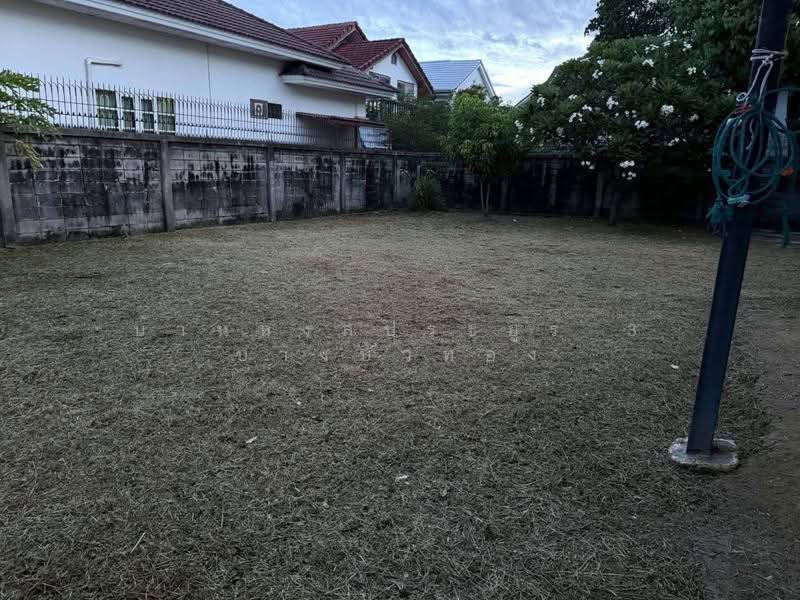 Baan Hong Prayun 3 Bang Bua Thong : บ้านหงส์ประยูร 3 บางบัวทอง, นนทบุรี, บางรักพัฒนา, บางบัวทอง, นนทบุรี, 120 ตร.ม., ทาวน์เฮ้าส์ ขาย, โดย บ้านหงส์ประยูร 3 บางบัวทอง, 500548469 - DDproperty.com