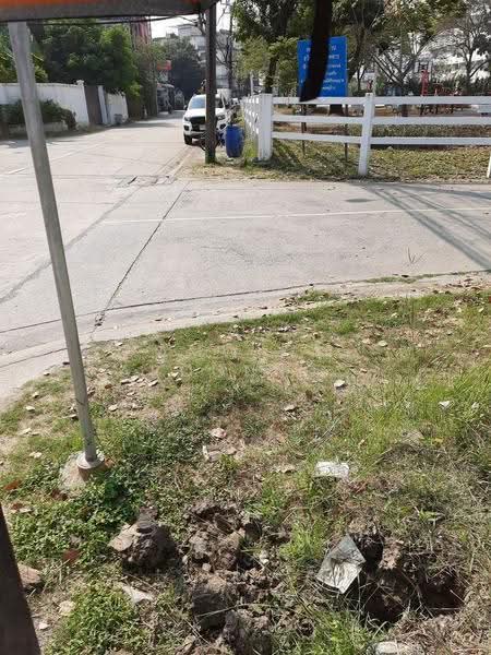 Vacant land near Ram Inthra 61, Yaek 1, Bangkok, Tha Rang, Bang Khen, Bangkok, , 234 sqm, Land For Rent, by Amwika Karoonsombat, 500548474 - DDproperty.com