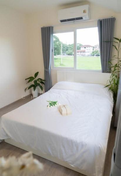 Anasiri Payap, Chiang Mai, Nong Pa Krang, Muang Chiang Mai, Chiang Mai, 4 Bedrooms, 150 sqm, Townhouse For Rent, by Pharita Chaimanee, 500548630 - DDproperty.com