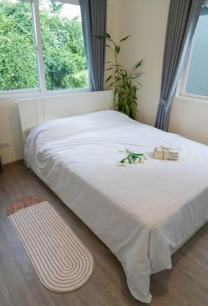 Anasiri Payap, Chiang Mai, Nong Pa Krang, Muang Chiang Mai, Chiang Mai, 4 Bedrooms, 150 sqm, Townhouse For Rent, by Pharita Chaimanee, 500548630 - DDproperty.com