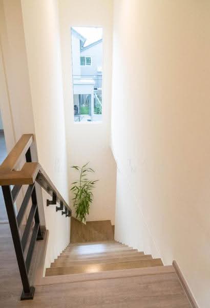 Anasiri Payap, Chiang Mai, Nong Pa Krang, Muang Chiang Mai, Chiang Mai, 4 Bedrooms, 150 sqm, Townhouse For Rent, by Pharita Chaimanee, 500548630 - DDproperty.com