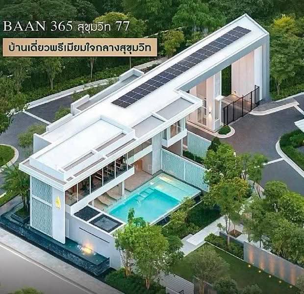 Baan 365 Sukhumvit 77, Bangkok, Soi On Nut 46, Suan Luang, Bangkok, 4 Bedrooms, 331 sqm, Single Detached House For Sale, by DD Asset (Thailand) Co.,Ltd, 500548893 - DDproperty.com