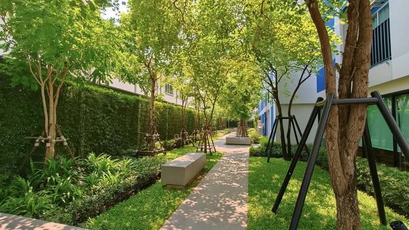 Plum Condo Chaengwattana-Donmueang : พลัมคอนโด แจ้งวัฒนะ-ดอนเมือง, กรุงเทพ, กำแพงเพชร 6 ซอย 5 แยก 2, ทุ่งสองห้อง, หลักสี่, กรุงเทพ, 26 ตร.ม., คอนโด ให้เช่า, โดย คุณเบน, 500548968 - DDproperty.com