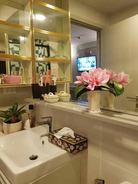The Base Sukhumvit 50, Bangkok, Soi Roem Charoen 1, Sukhumvit 50 Road, Phra Kanong, Khlong Toei, Bangkok, Studio, 26 sqm, Condo For Rent, by Holtop Property, 500549036 - DDproperty.com