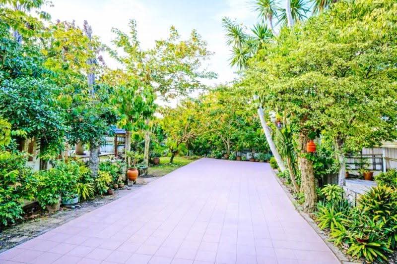 ไม่พบโครงการ, Chon Buri (Pattaya), สุขุมวิท, Bang Phra, Si Racha, Chon Buri (Pattaya), 3 Bedrooms, 300 sqm, Single Detached House For Rent, by ณัฐพงศ์ สุนทรอรุณ, 500549059 - DDproperty.com