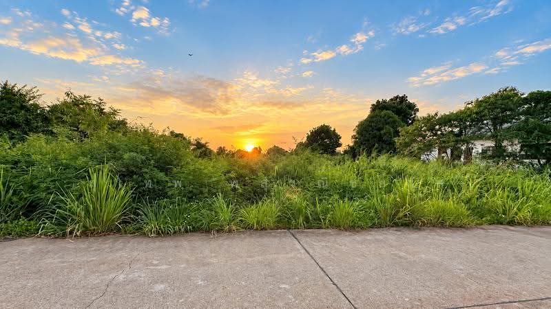 Land for Sale – Level with the Road, No Land Filling Required 14 Rai, Only 700 m from Suan Son Beach, Rayong, Klaeng, Muang Rayong, Rayong, , 22,397 sqm, Land For Sale, by สุเทพ พสุวณิชย์กุล, 500549064 - DDproperty.com