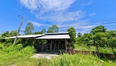 ขาย - ที่ดินหนองกระโดน นครสวรรค์, นครสวรรค์