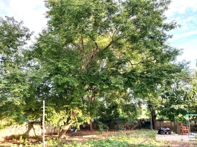 ที่ดินพร้อมสิ่งปลูกสร้างแวงน้อย ขอนแก่น, khon-kaen, Waeng Noi, Khon Kaen, , 1,789 sqm, Land For Sale, by The Best Property เจี๊ยบ, 500549112 - DDproperty.com