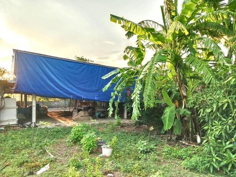 ที่ดินพร้อมสิ่งปลูกสร้างแวงน้อย ขอนแก่น, khon-kaen, Waeng Noi, Khon Kaen, , 1,789 sqm, Land For Sale, by The Best Property เจี๊ยบ, 500549112 - DDproperty.com