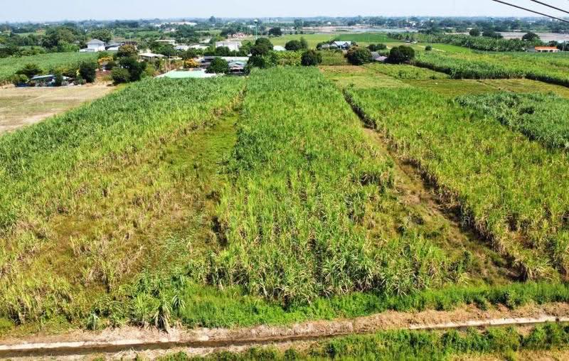 ที่ดินบ้านยาง นครปฐม, Nakhon Pathom, Ban Yang, Muang Nakhon Pathom, Nakhon Pathom, , 7,740 sqm, Land For Sale, by The Best Property น้ำตาล, 500549120 - DDproperty.com