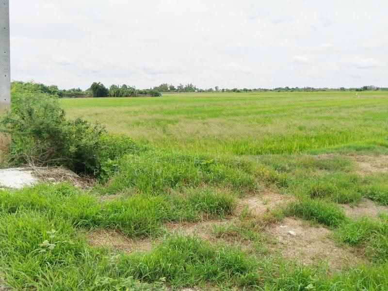 ที่ดินบางเลน นครปฐม, นครปฐม, บัวปากท่า, บางเลน, นครปฐม, 28,037 ตร.ม., ที่ดิน ขาย, โดย The Best Property บี, 500549130 - DDproperty.com