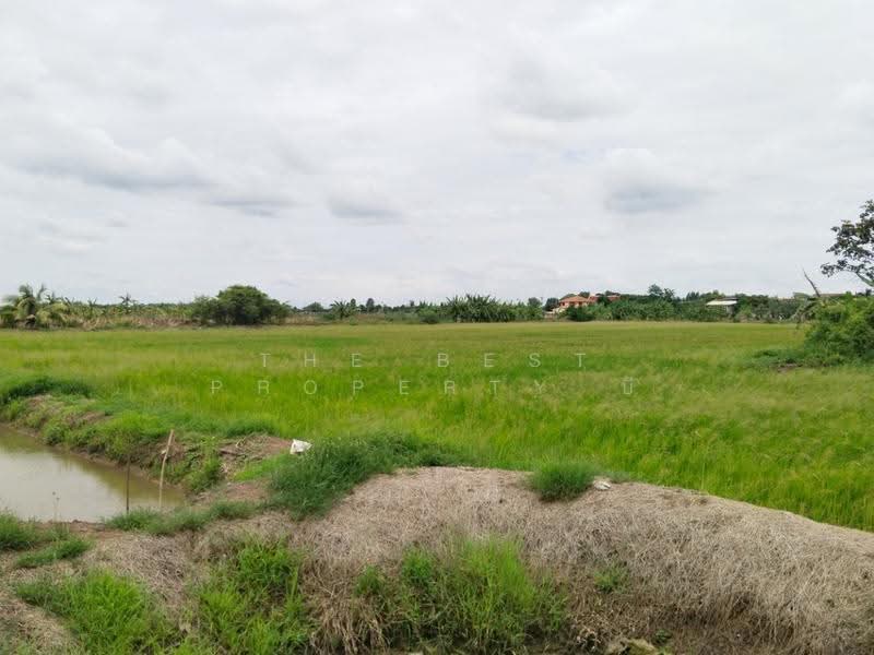 ที่ดินบางเลน นครปฐม, นครปฐม, บัวปากท่า, บางเลน, นครปฐม, 28,037 ตร.ม., ที่ดิน ขาย, โดย The Best Property บี, 500549130 - DDproperty.com