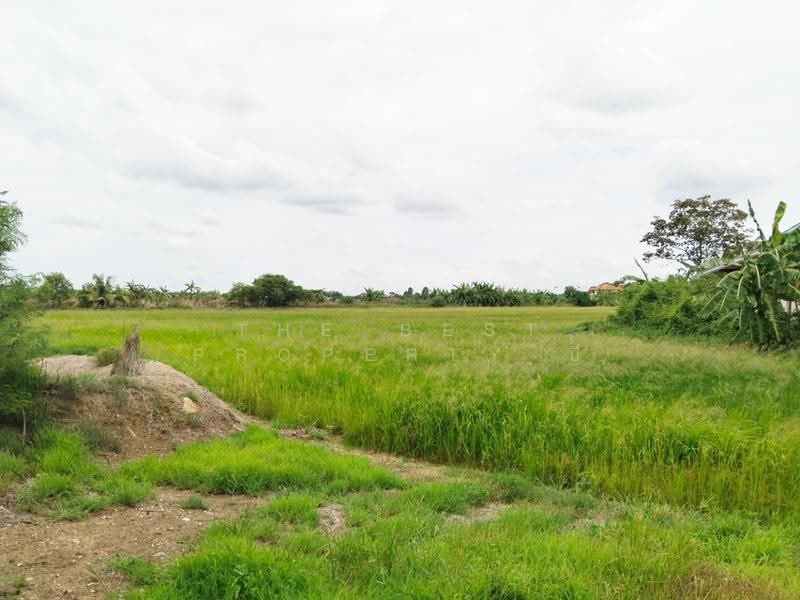ที่ดินบางเลน นครปฐม, นครปฐม, บัวปากท่า, บางเลน, นครปฐม, 28,037 ตร.ม., ที่ดิน ขาย, โดย The Best Property บี, 500549130 - DDproperty.com