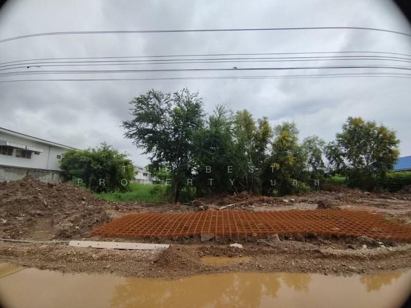 ที่ดินหนองเสือ ปทุมธานี, Pathum Thani, Bung Ba, Nong Sua, Pathum Thani, , 3,200 sqm, Land For Sale, by The Best Property บอส, 500549132 - DDproperty.com