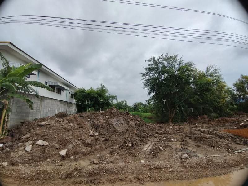 ที่ดินหนองเสือ ปทุมธานี, Pathum Thani, Bung Ba, Nong Sua, Pathum Thani, , 3,200 sqm, Land For Sale, by The Best Property บอส, 500549132 - DDproperty.com