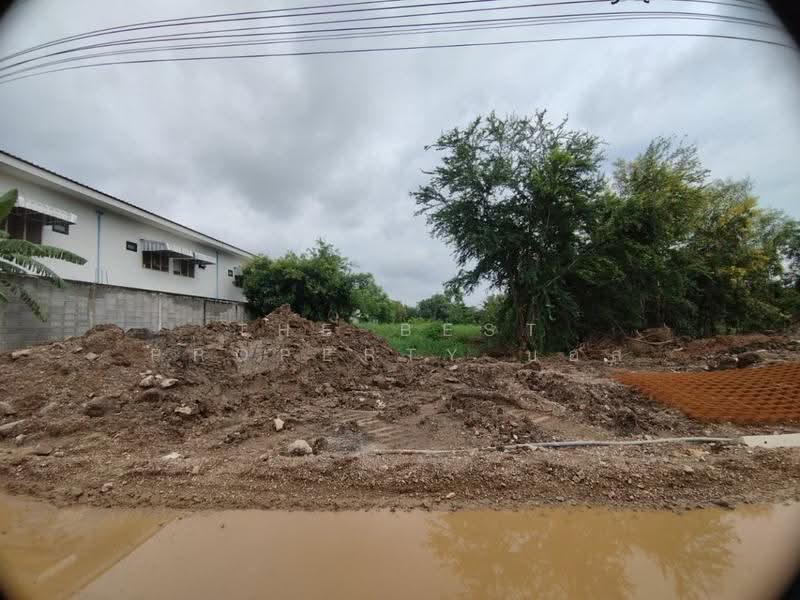 ที่ดินหนองเสือ ปทุมธานี, Pathum Thani, Bung Ba, Nong Sua, Pathum Thani, , 3,200 sqm, Land For Sale, by The Best Property บอส, 500549132 - DDproperty.com
