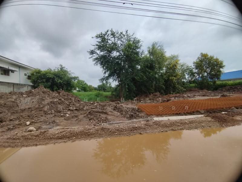 ที่ดินหนองเสือ ปทุมธานี, Pathum Thani, Bung Ba, Nong Sua, Pathum Thani, , 3,200 sqm, Land For Sale, by The Best Property บอส, 500549132 - DDproperty.com