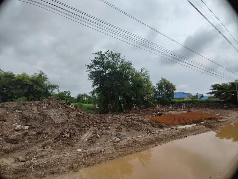 ที่ดินหนองเสือ ปทุมธานี, Pathum Thani, Bung Ba, Nong Sua, Pathum Thani, , 3,200 sqm, Land For Sale, by The Best Property บอส, 500549132 - DDproperty.com