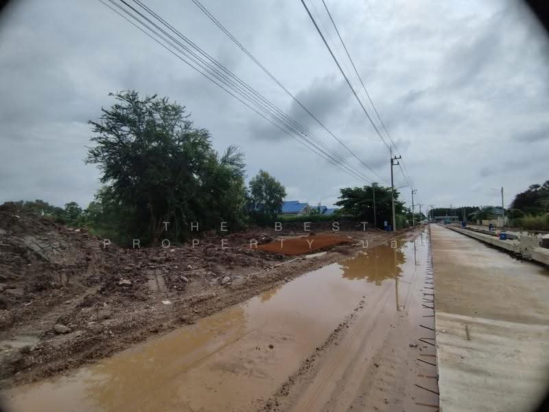 ที่ดินหนองเสือ ปทุมธานี, ปทุมธานี, บึงบา, หนองเสือ, ปทุมธานี, 3,200 ตร.ม., ที่ดิน ขาย, โดย The Best Property บอส, 500549132 - DDproperty.com