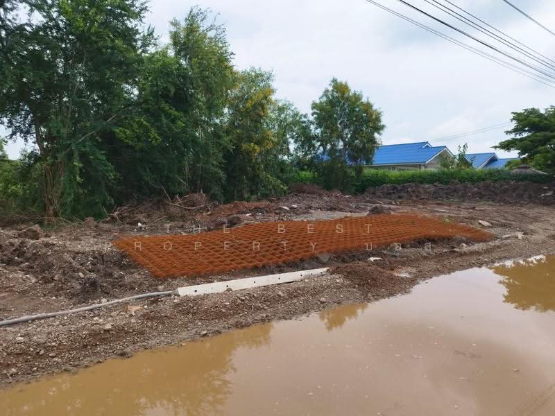 ที่ดินหนองเสือ ปทุมธานี, ปทุมธานี, บึงบา, หนองเสือ, ปทุมธานี, 3,200 ตร.ม., ที่ดิน ขาย, โดย The Best Property บอส, 500549132 - DDproperty.com