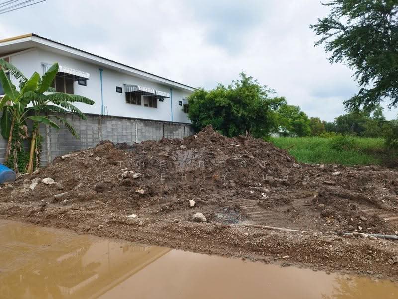 ที่ดินหนองเสือ ปทุมธานี, Pathum Thani, Bung Ba, Nong Sua, Pathum Thani, , 3,200 sqm, Land For Sale, by The Best Property บอส, 500549132 - DDproperty.com