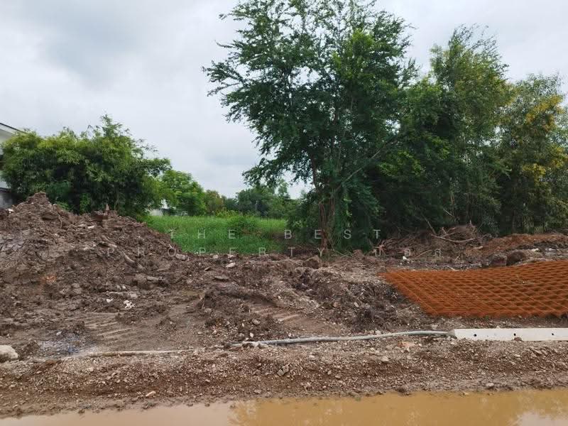 ที่ดินหนองเสือ ปทุมธานี, Pathum Thani, Bung Ba, Nong Sua, Pathum Thani, , 3,200 sqm, Land For Sale, by The Best Property บอส, 500549132 - DDproperty.com