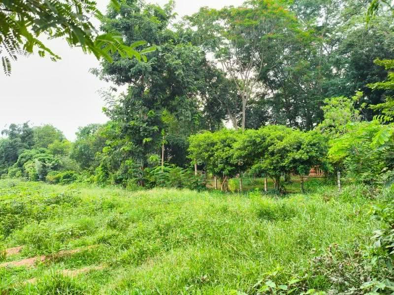 ที่ดินพร้อมสิ่งปลูกสร้างวัฒนานคร สระแก้ว, sa-kaeo, Non Mak Keng, Watthana Nakhon, Sa Kaeo, , 44,152 sqm, Land For Sale, by The Best Property ยุ, 500549140 - DDproperty.com